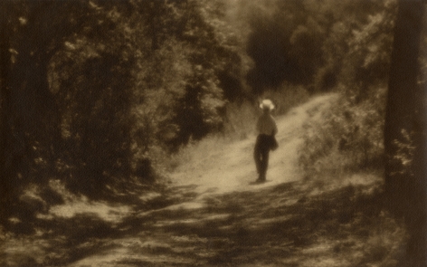Warm toned black and white photo of a man in a wide brimmed hat walking away down a sun dappled forest path.