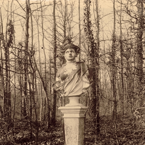 Warm toned photograph of a classical marble bust in front of a wooded background.
